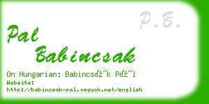 pal babincsak business card